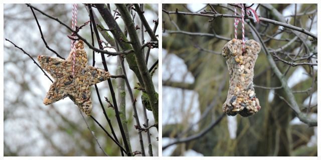 make bird food